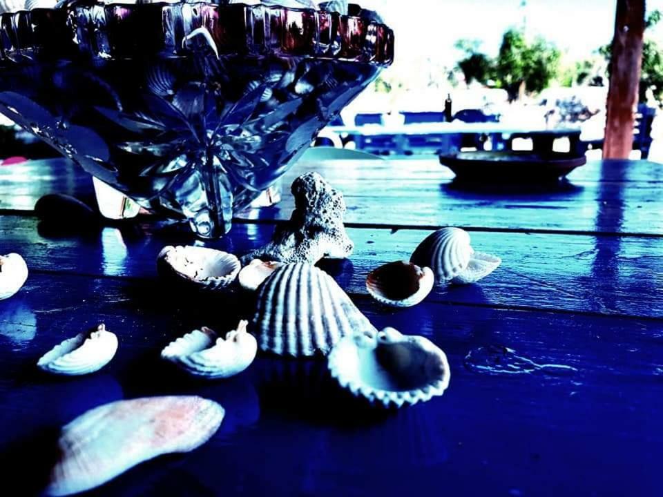 Oasi San Pio Apartment Porto Cesareo Exterior foto